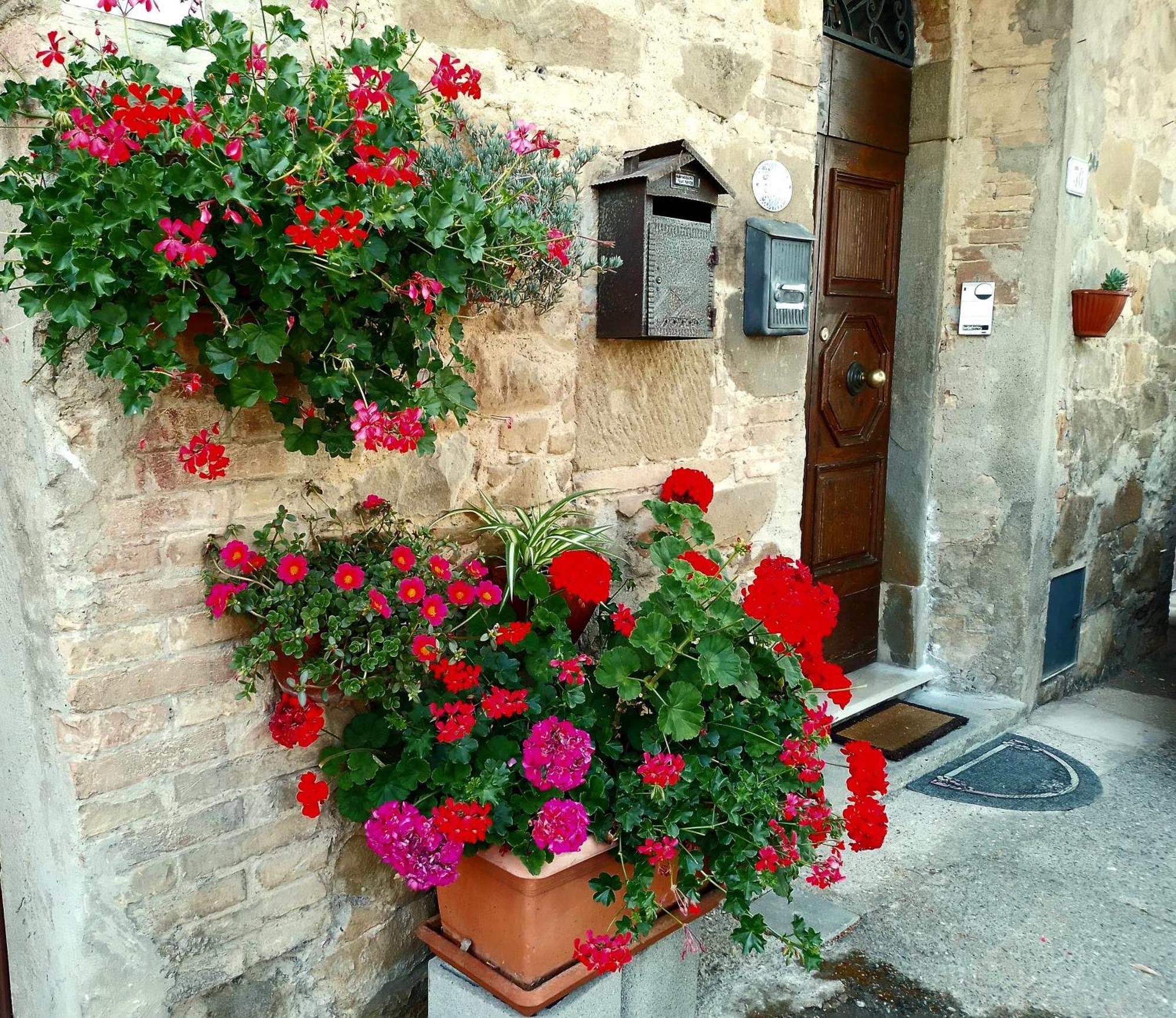 Casa Tarrini Apartment Chianni Exterior photo